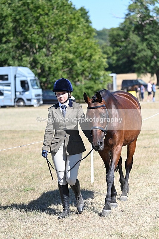 WJ7_1814 - Class 43 Best Six Legs (In hand)