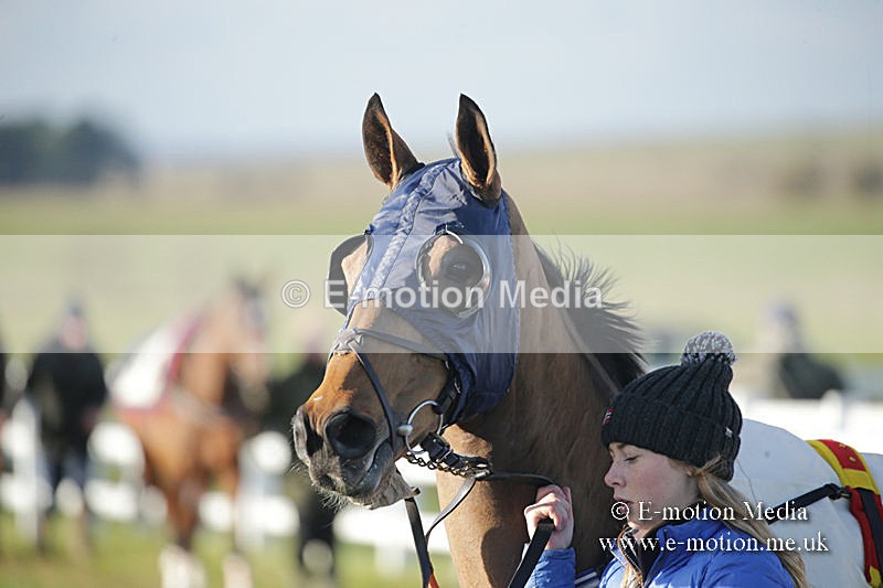 PtP 011219-0037 - Hursley Hambledon Hunt Point-to-Point 01/12/19