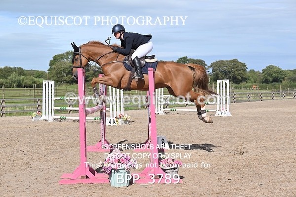 BPP_3789 - CLASS 43 SUN Senior Newcomers/ 1.10m Open