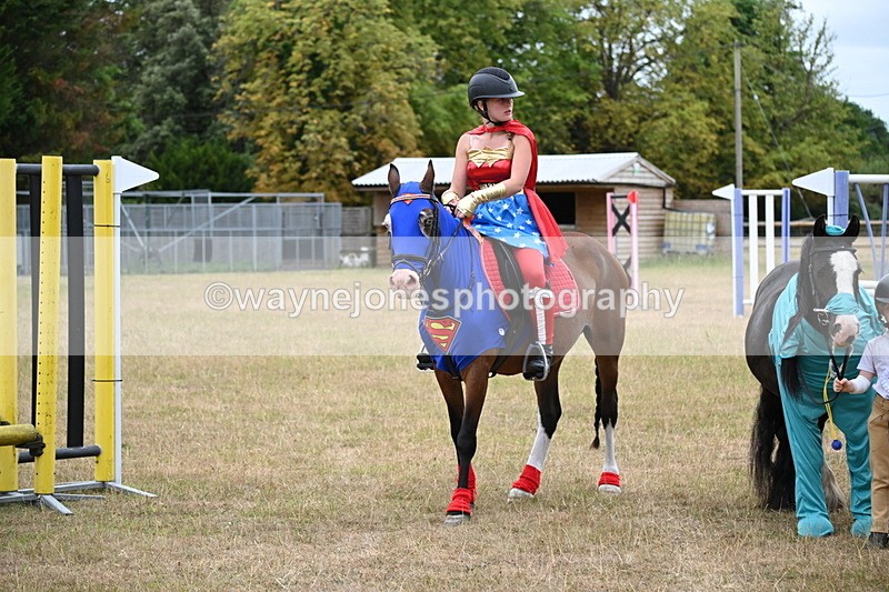 WJ6_9106 - Class 11 Fancy Dress