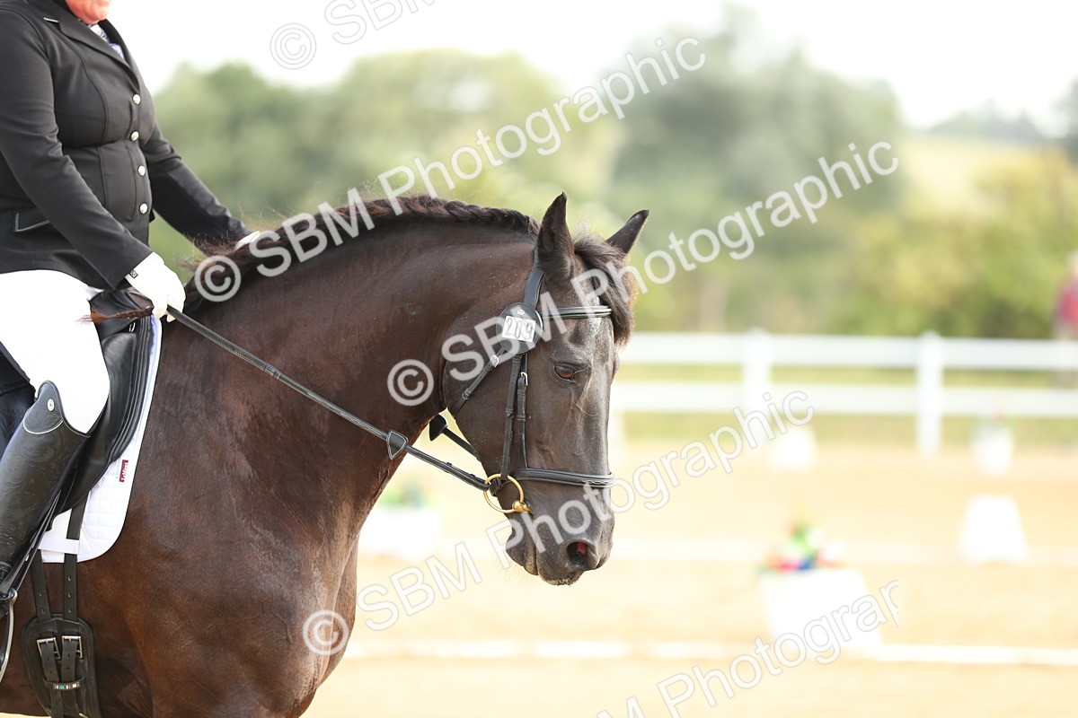 SBM_015040 - Class 13 - Novice 23 - 8,30-9.33