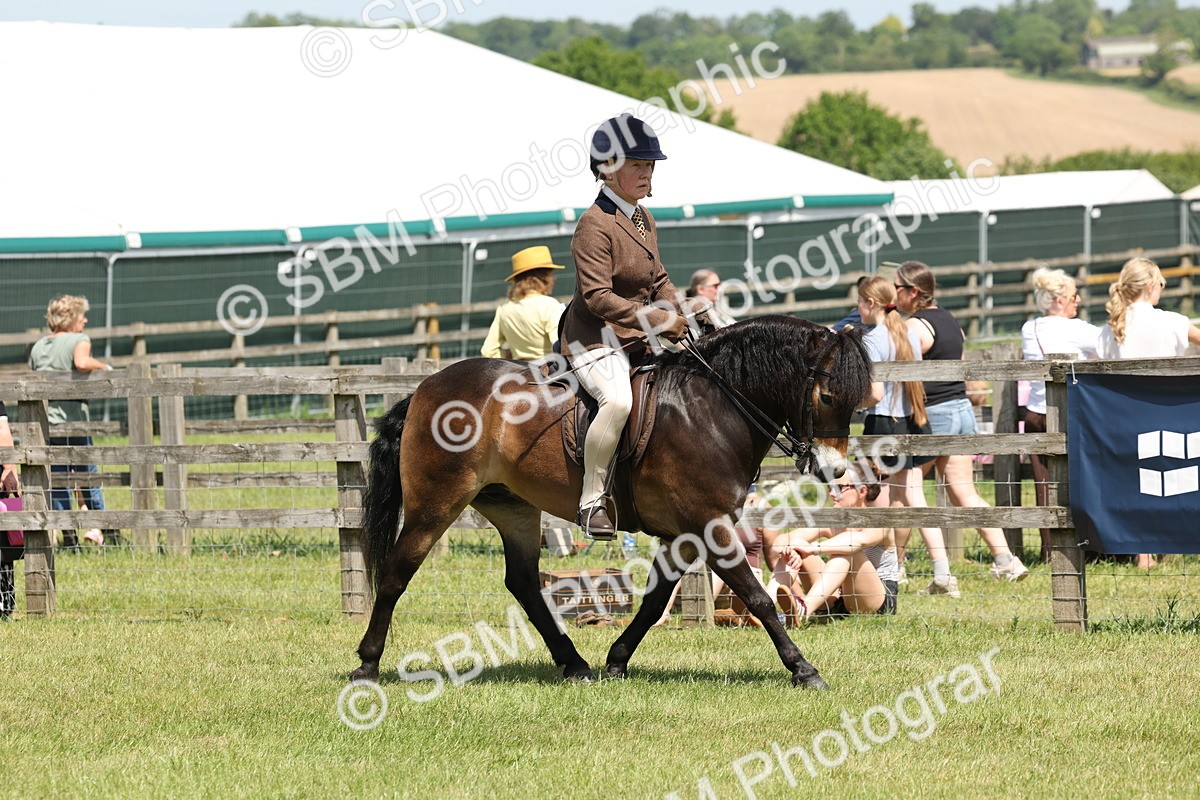SBM_06798 - Class 26-30 - Mountain and Moorland Ridden