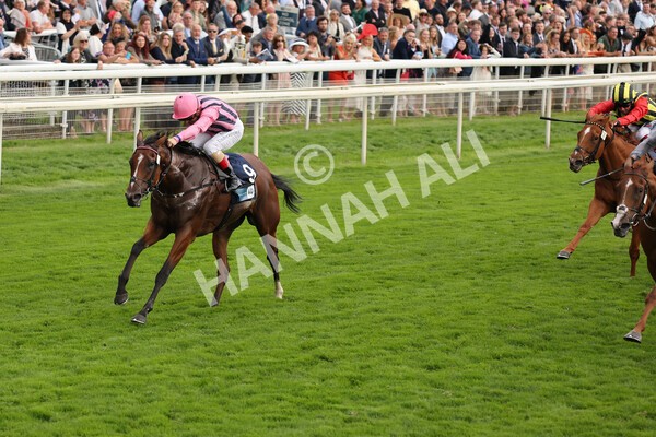 yr19082021r7-15 - Race 7 5.20pm British Stallion Studs EBF Fillies' Stakes