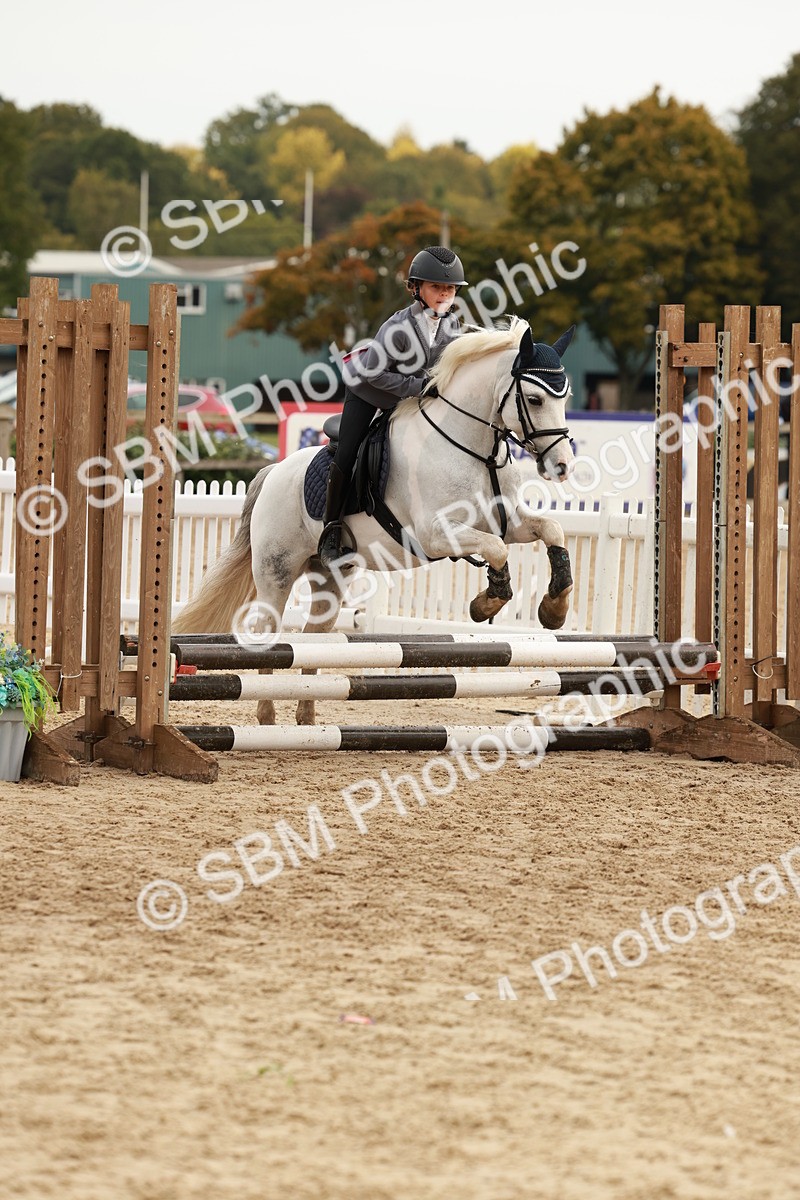 SBM_57752 - J11 - Junior Pony 50cm Championship