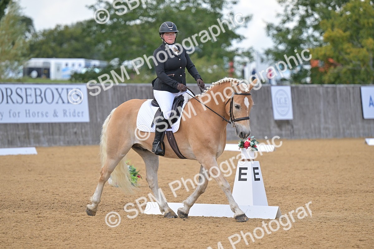 SBM_11138 - D3 - Small Tour Championship Intro 3