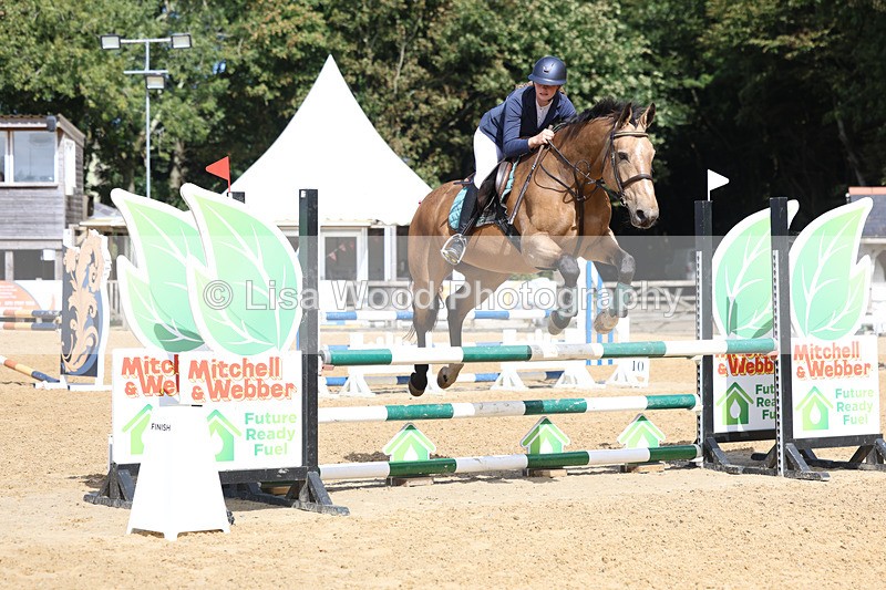 3E7A9273 - Class 9: Senior British Novice/90cm open