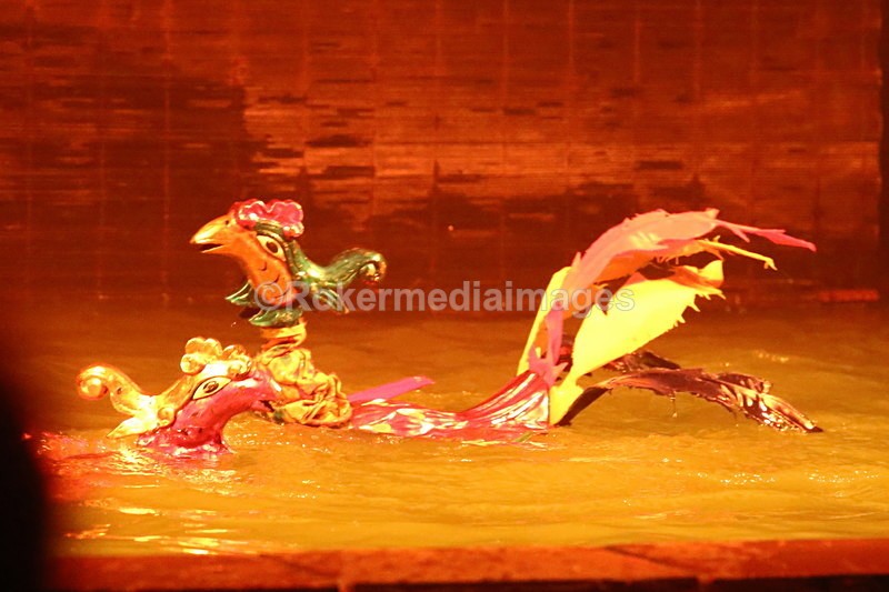 VIET_1051 - Vietnam 2017