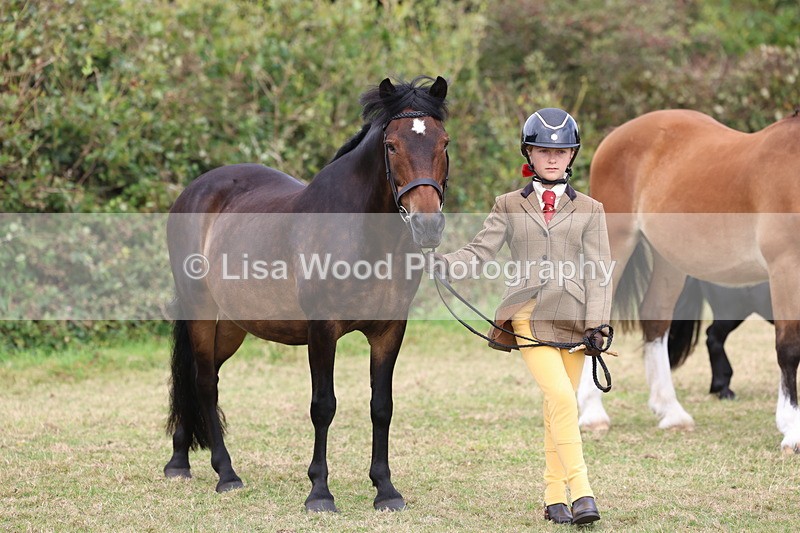 3E7A4883 - Class 16: Best Grass Kept