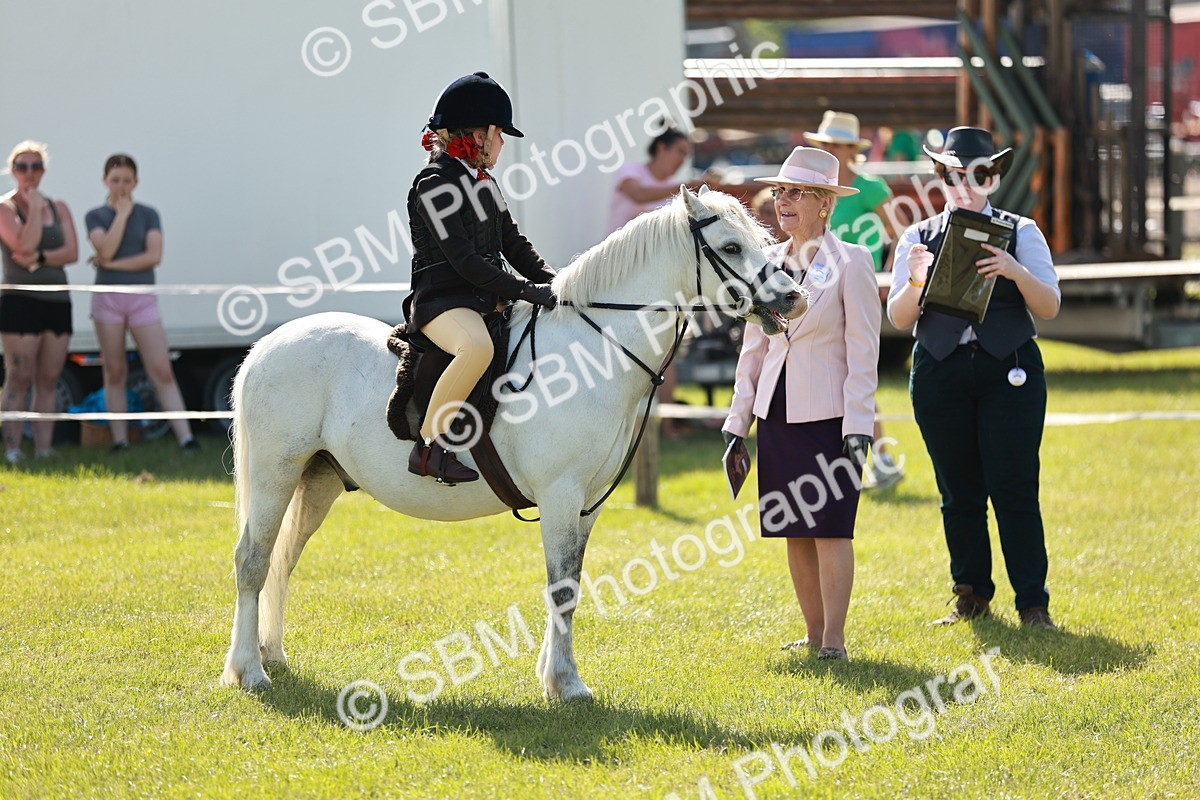 SBM_12615 - Class 106-107 - BSPS LIHS Working Sports Pony