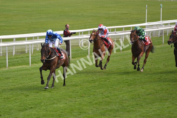  - Race 3 2.40pm The Matchbook Betting Podcast Hambleton Stakes