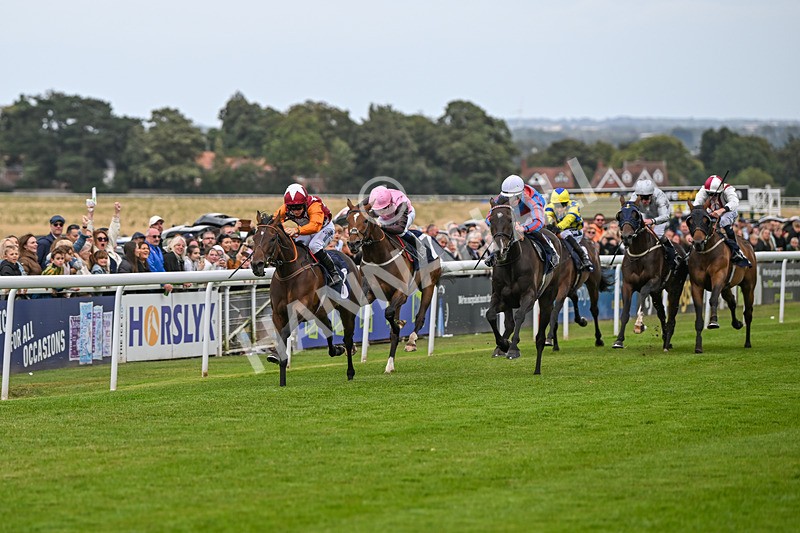 250824-Race 5-Lincoln Rockstar-3651 - Race 5