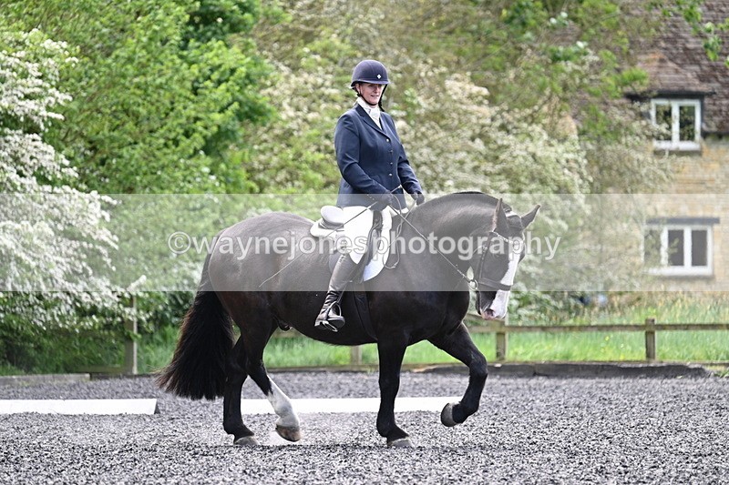 WJ7_9021 - Time 11:32 to 11:54