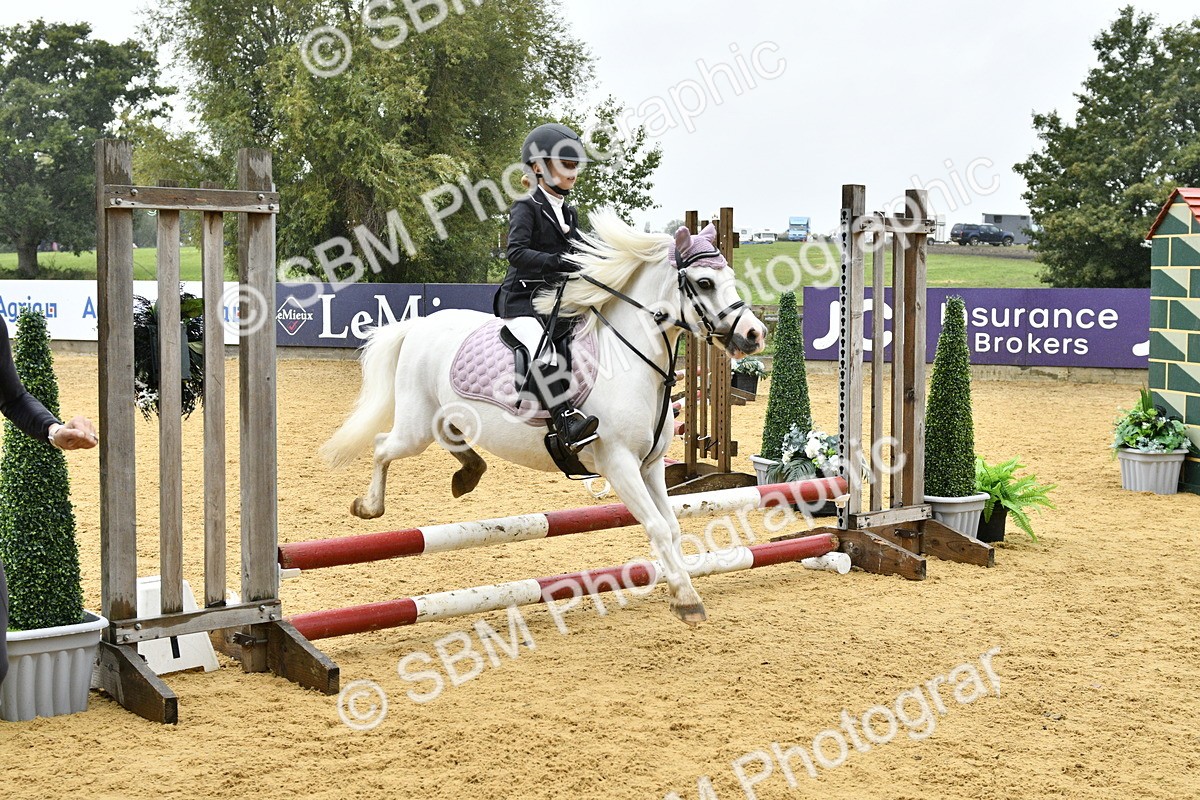 SBM_70894 - J3 - Mini Tour Junior Pony 40cm championship