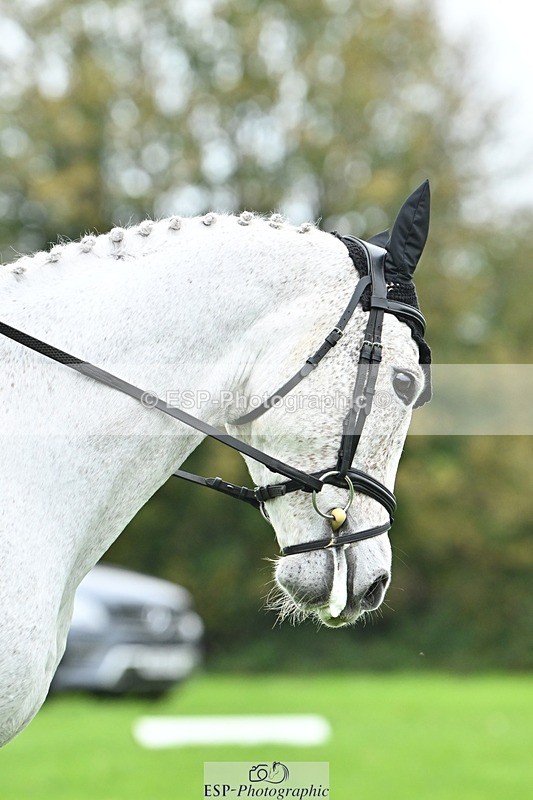 241024-122803-02750 - 326-Eloise.Hawtin-TULLIBARDS.CLONEENAGH.TED