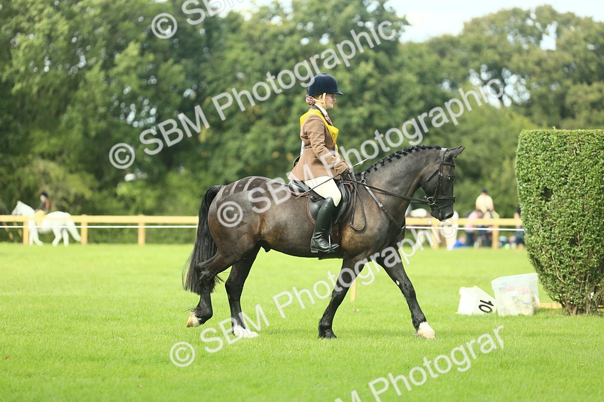 SBM_44870 - Working Hunter Pony Supreme Championship