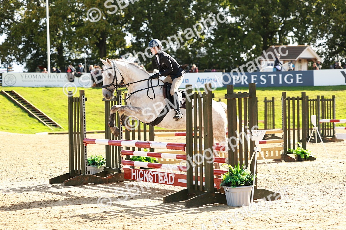SBM_38056 - J39 - Senior Horse & Pony 85cm Championship