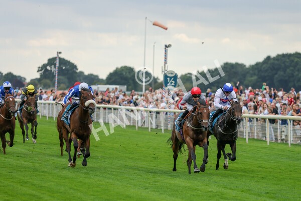 yr04092022r1-20 - Race 1 1.45pm IRE Incentive, It Pays To Buy Irish EBF Novice Stakes