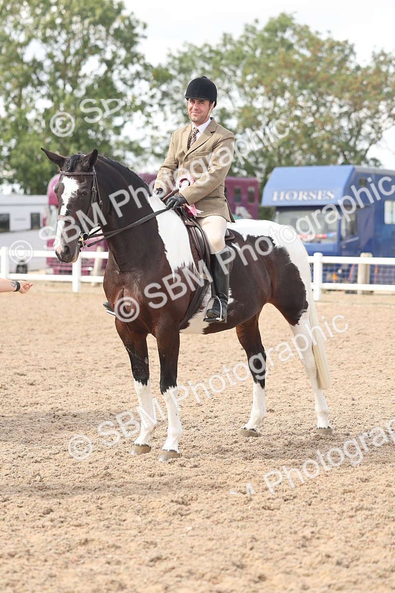 SBM_14861 - Class 308 - Ridden Coloured Horse