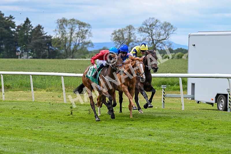 160526-Race 3-Caraway-9523 - Race 3 3.00pm Metaxas Handicap