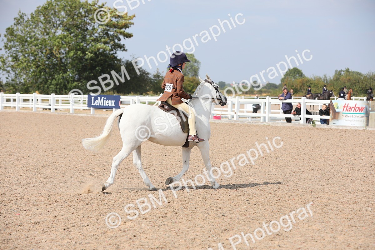 SBM_14789 - Class 310 First Ridden Pony