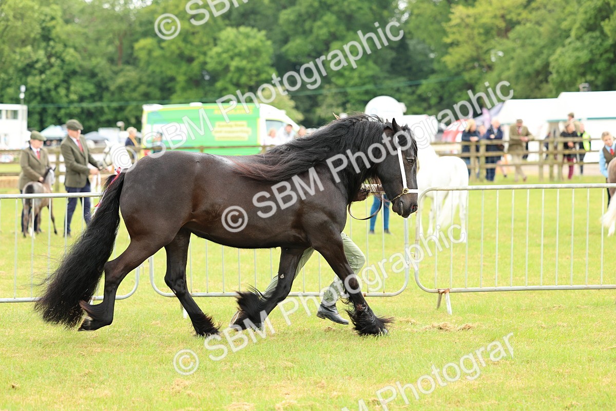 SBM_00476 - Class 58-67 - M&M Non Welsh Pony In hand