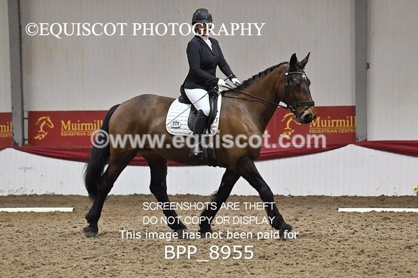 BPP_8955 - NOVICE 6