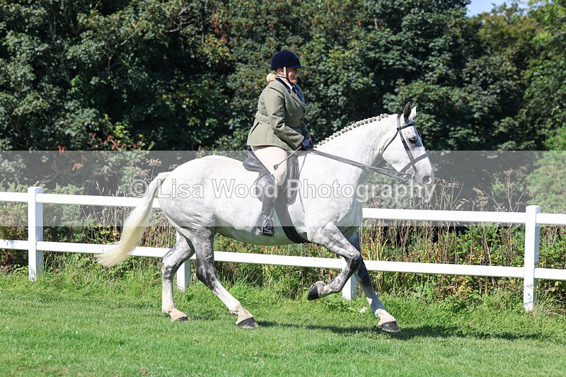 3E7A8370 - Class 4: Novice working Hunter