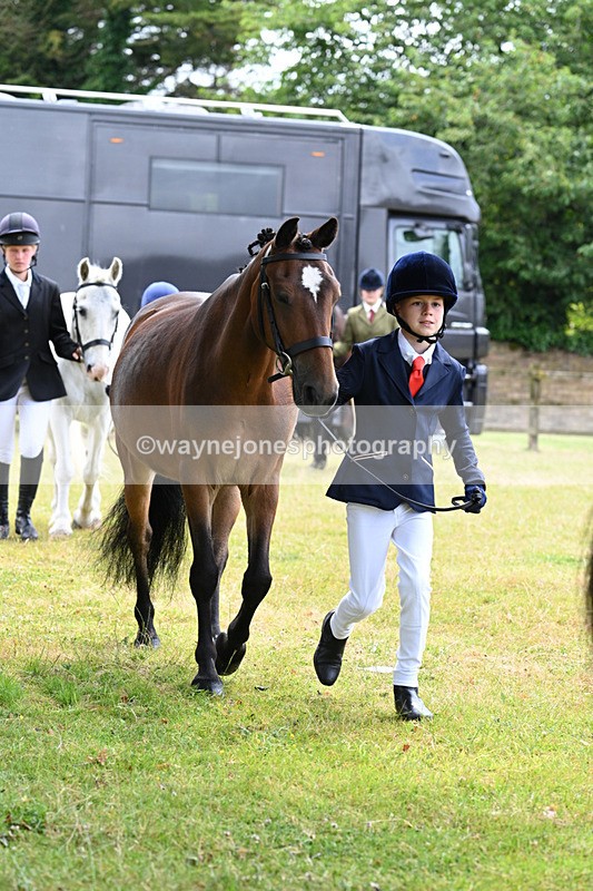 WJ7_6490 - Class 5 Handsome Gelding in hand