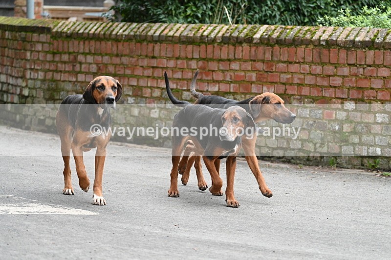 WJ7_1035 - Pub Corner