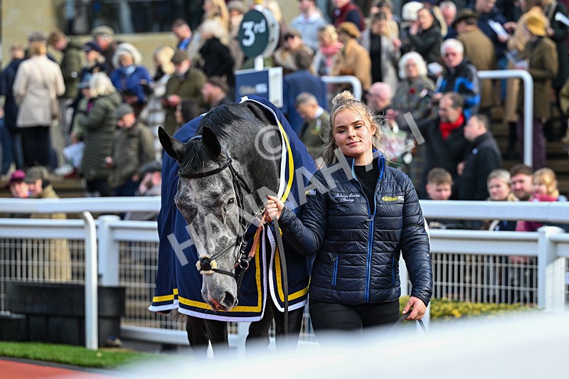 251025-Race 2-Inishcorker-7261 - Race 2