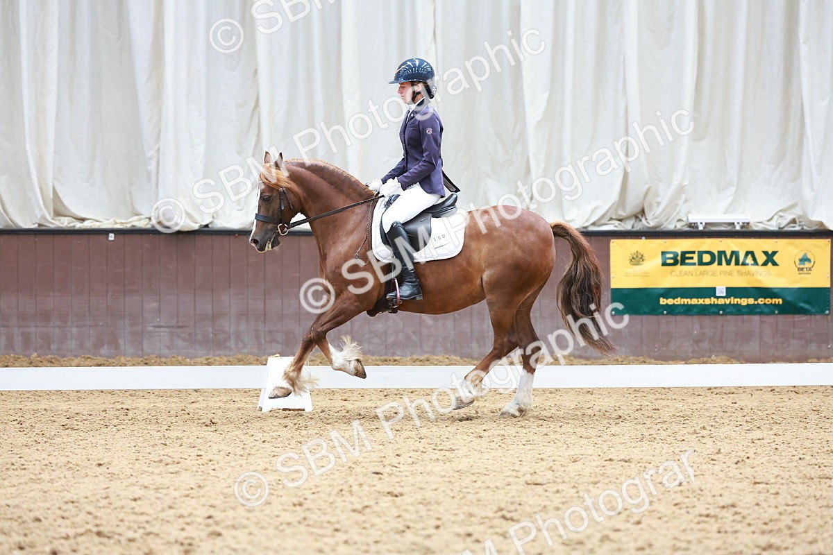 SBM_010903 - Prelim 5 - 11.38-12.48