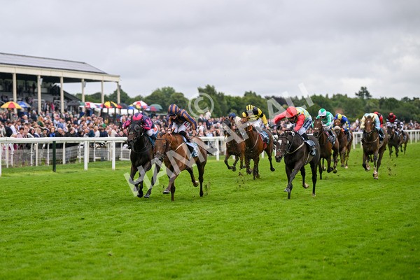 130724-Race 6-Zimmerman-7682 - Race 6 4.50pm John Smith's Stayers' Handicap