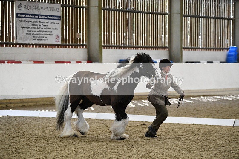 WJ5_5031 - Class 7 In hand coloured / odd coloured