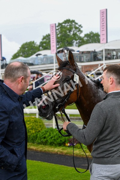 190523-Race 2-Sounds Of Heaven-0379 - Race 2 2.25pm Oaks Farm Stables Fillies' Stakes
