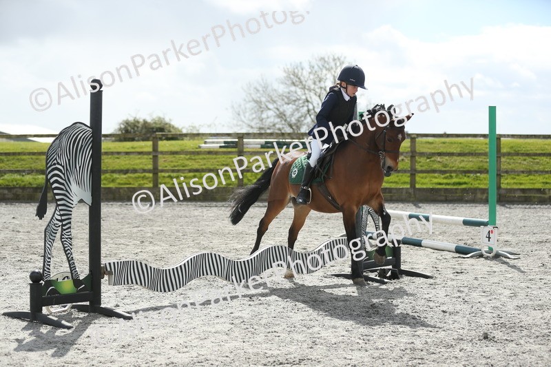 20260412-0763 - Show Jumping