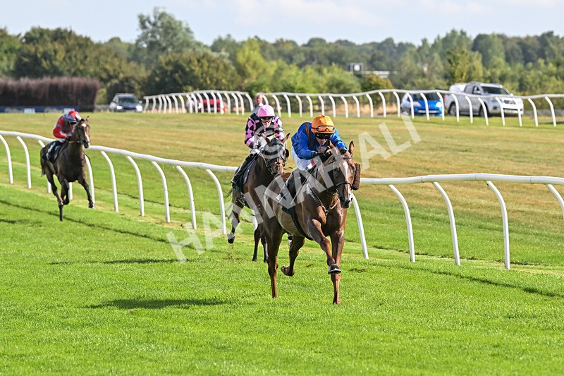 270825-Race 4-Bollin Neil-6314 - Race 4