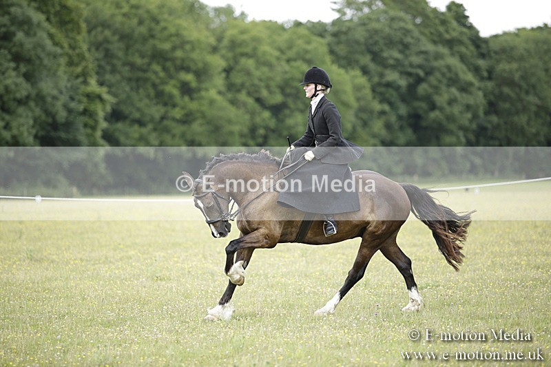 BVR160717-1944 - Side Saddle Classes 16/07/17