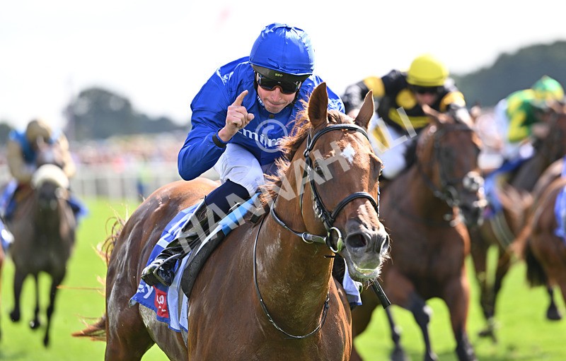 220826-080 Notable Speech - Race 3 15.00pm Sky Bet City Of York Stakes