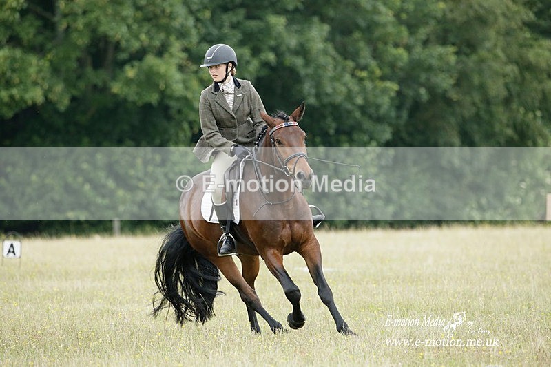 BVRC 030721 149 - Bourne Valley Riding Club Dressage 03/07/21