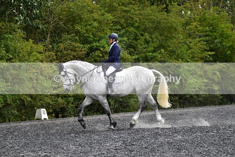 WJ5_2037 - Time 15:05 to 15:30