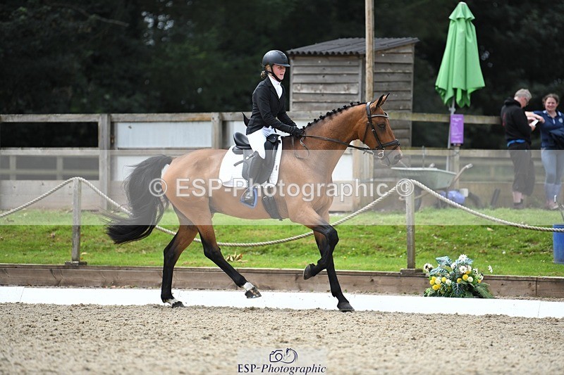 230812-131117-04281 - Cls 6 Novice Silver 12.10 to End