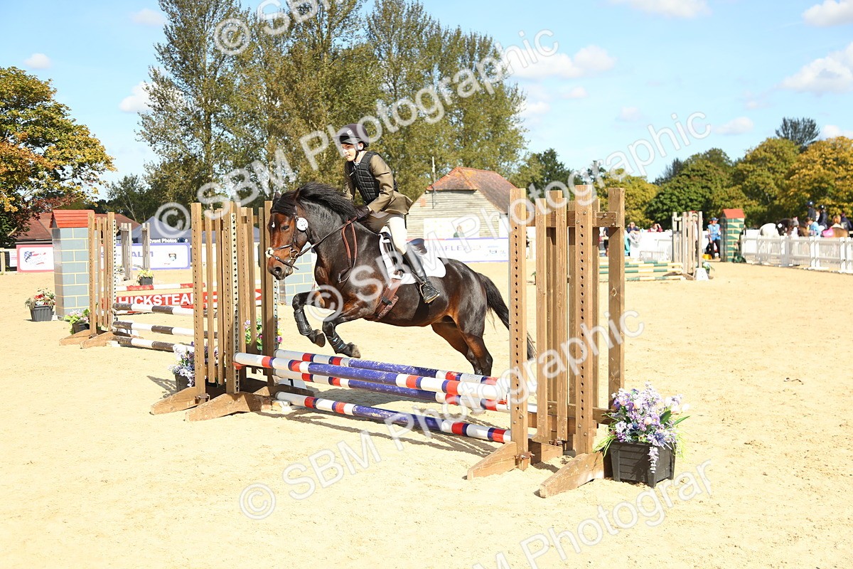SBM_39404 - J6 - Junior Pony 55cm Championships