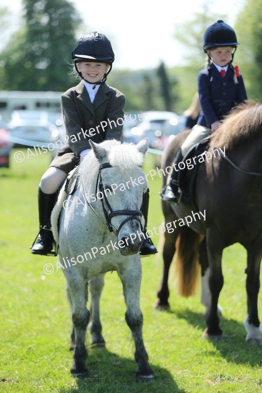 20250427-2722 - Class 6 - Pony Judge Would Most Like To Take Home