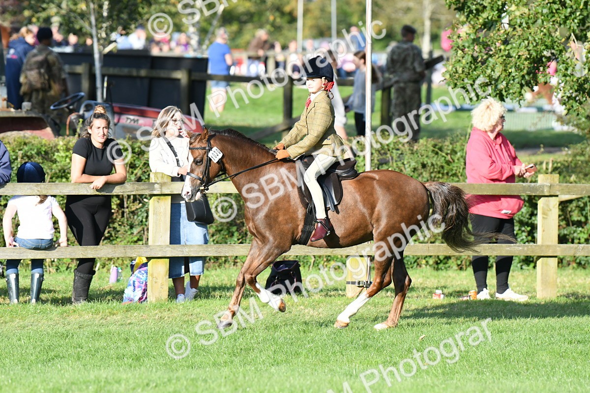 SBM_54043 - S23 - 1st Ridden Mountain & Moorland Pony