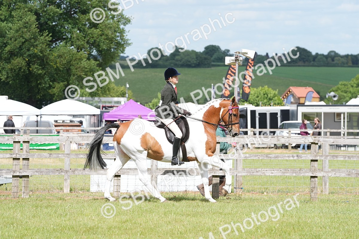 SBM_17576 - Class 107-108 - LIHS BSPS Performance Coloured Horse Pony