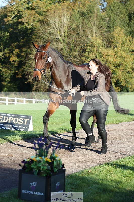 241027-085341-14877 - 459-Rachael.Hardman-I.M.ALL.YOU.WANT