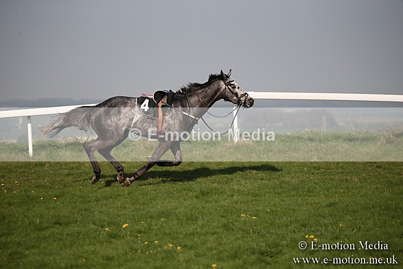 PtP 210418 630 - South & West Wilts Point-to-Point Larkhill 21/04/18