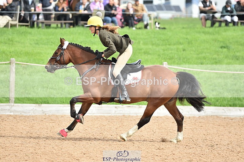 230902A-112158-00690 - Cls 2B Pony Small 80cm