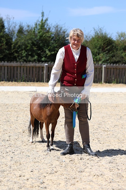 3E7A9528 - Class 30: Mnititature Horse