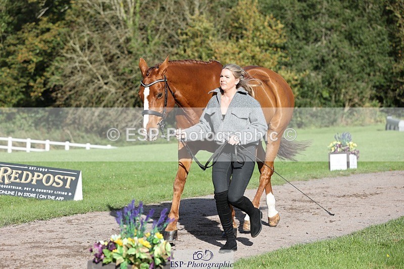 241027-101607-15777 - 512-Elisha.O'Brien-HIGHLIGHT.ROLLER